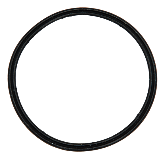 RV Sewer Gaskets (2-Pack)