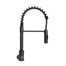 Lippert Flow Max™ Coiled Kitchen Faucet-1