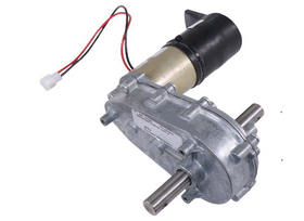 Gearmotor Assembly DSMXTD without Pin, Teardrop Shape Gearbox